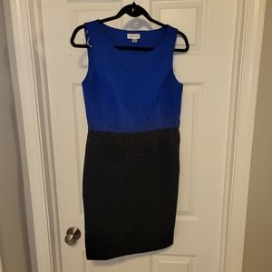 Calvin Klein Women's Dress